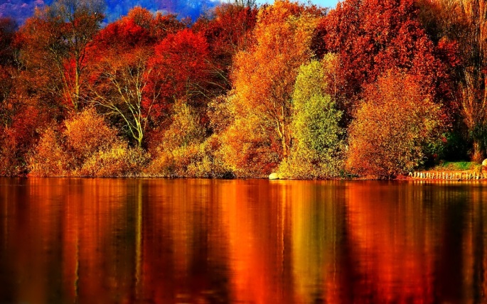Autumn-Wallpaper-autumn.jpg